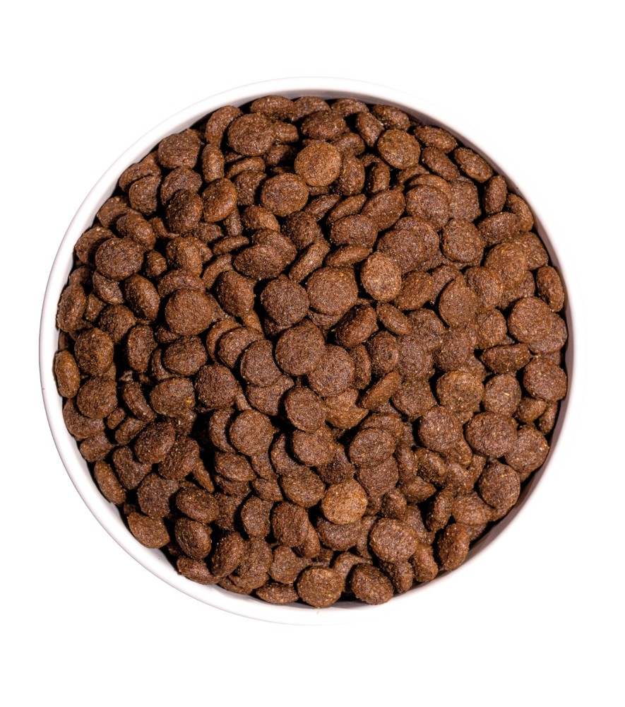 OWNAT CLASSIC MINI ADULT — image 3