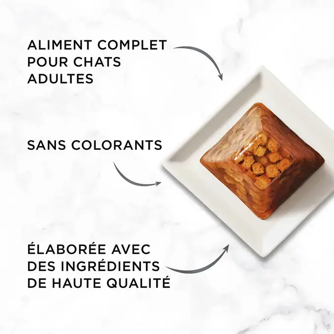 GOURMET™ REVELATIONS™ au Poulet - Bouchées en gelée  — image 3