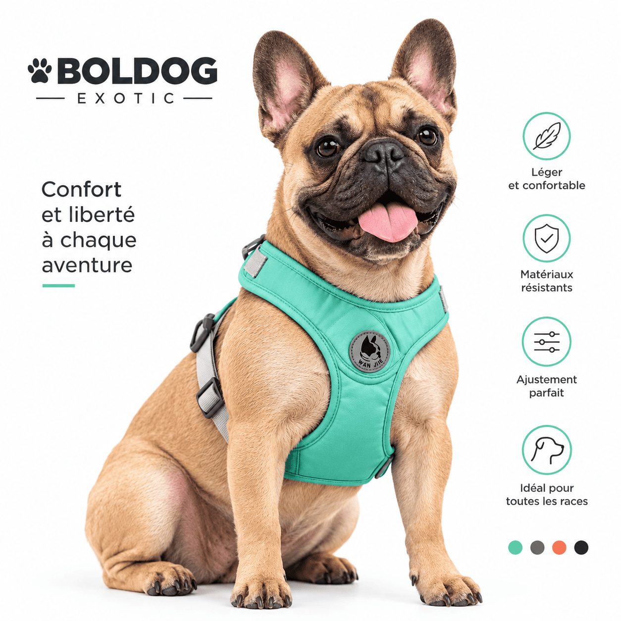 Harnais et laisse pour chien Wan Jia — Menthe