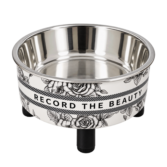 Gamelle surélevée pour chat — Record the Beauty