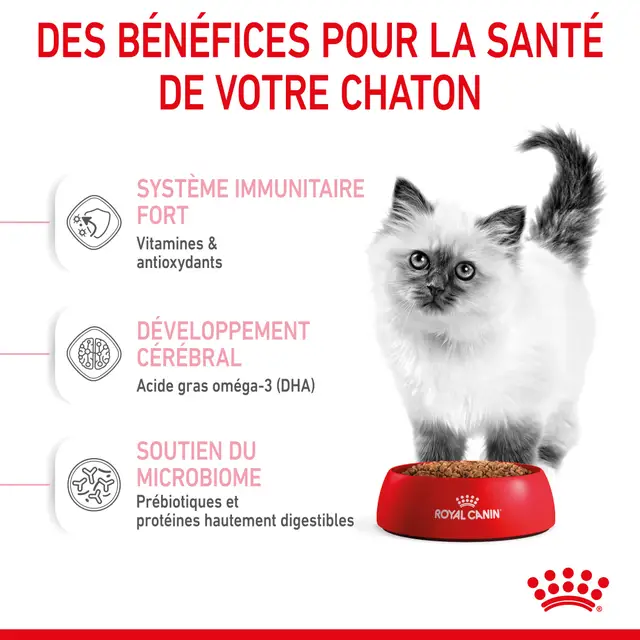 Royal Canin Kitten — image 2